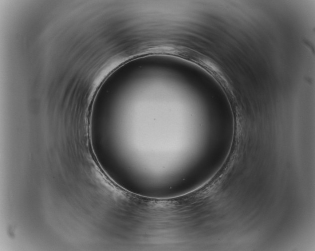 X0000100360808200806061137