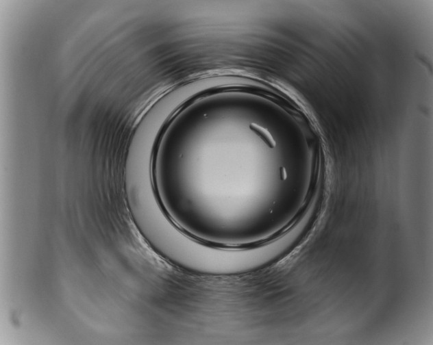 X0000100360809200806061137