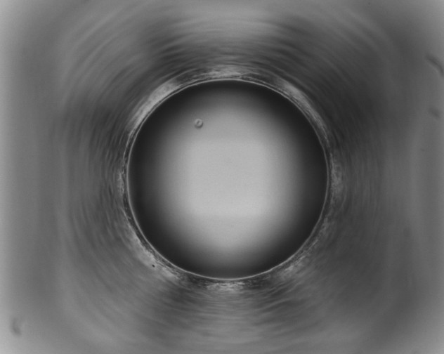 X0000100360810200806061137