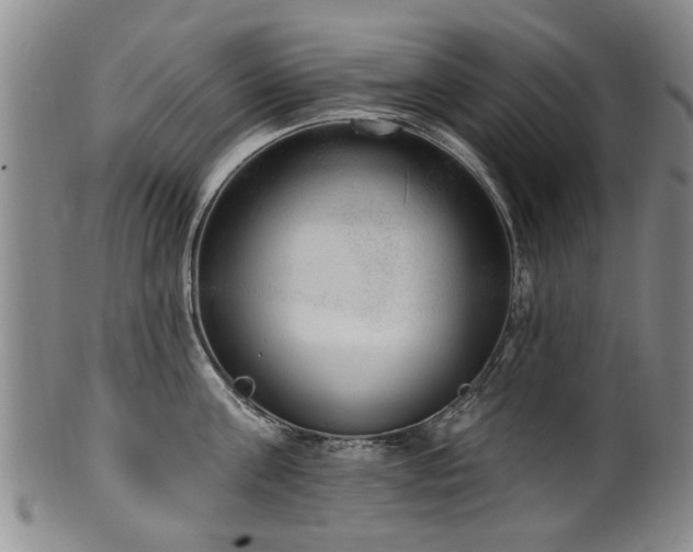 X0000100360811200806061137