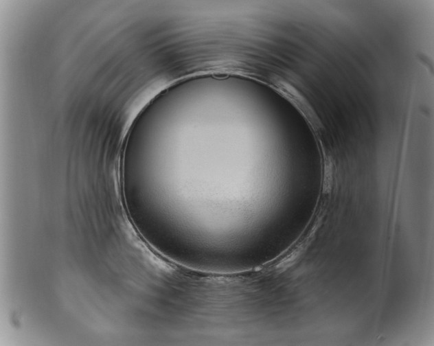 X0000100360812200806061137