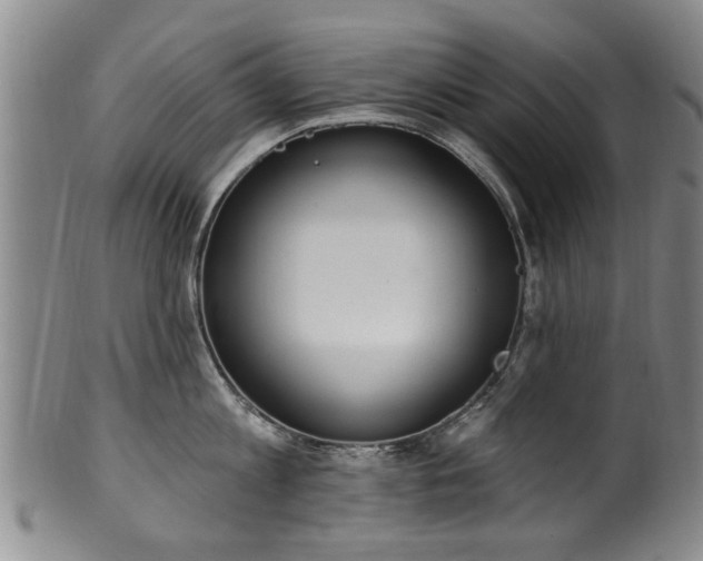 X0000100360813200806061137