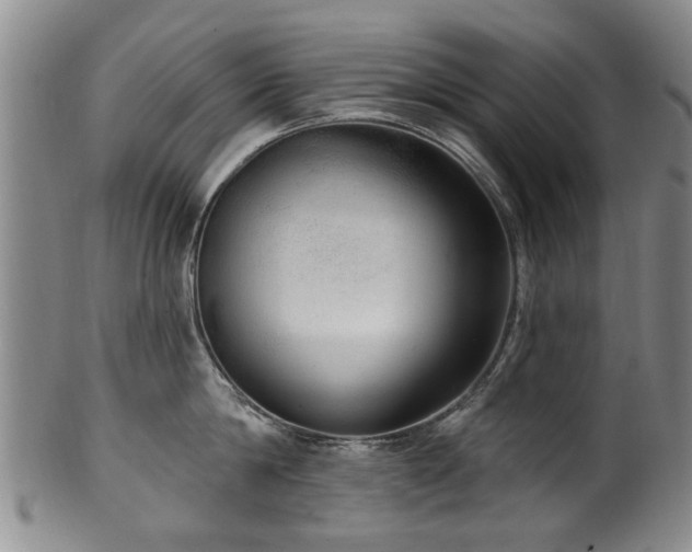 X0000100360814200806061137