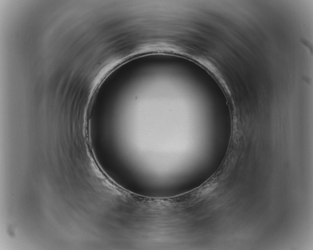 X0000100360815200806061137