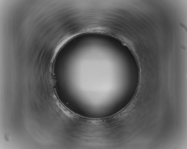 X0000100360816200806061137