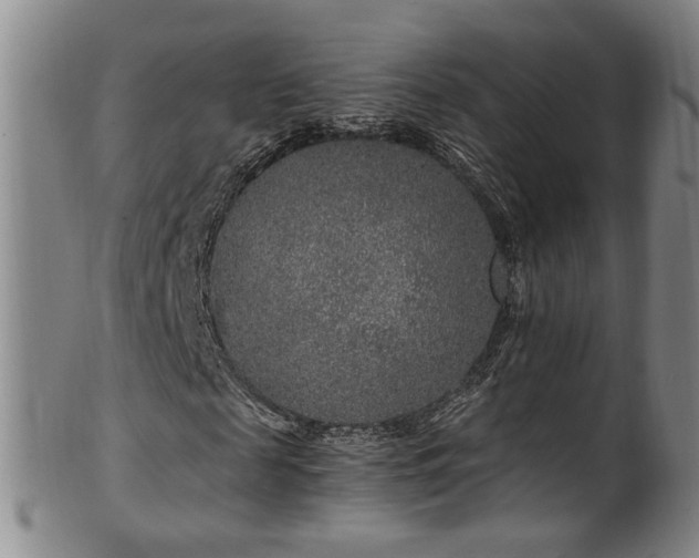 X0000100360817200806061136