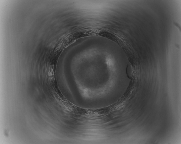 X0000100360818200806061136