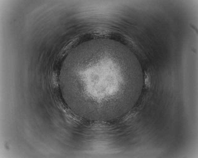 X0000100360819200806061136