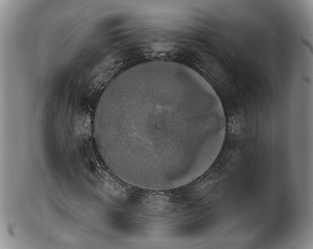 X0000100360820200806061136