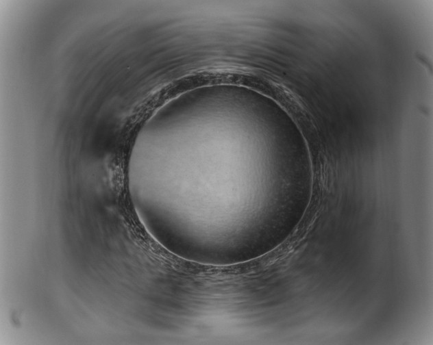 X0000100360821200806061136