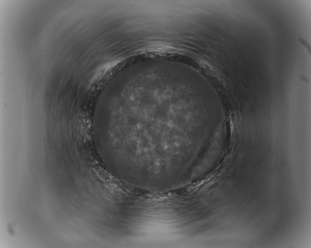 X0000100360822200806061136