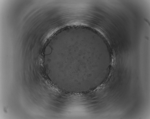 X0000100360823200806061136