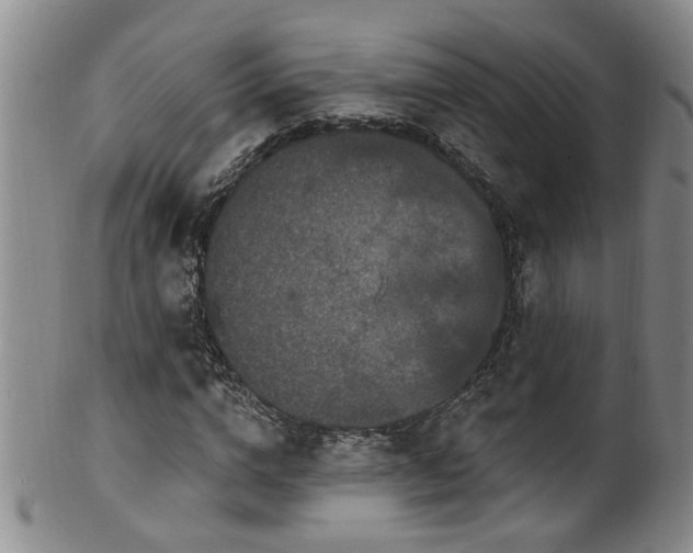 X0000100360824200806061136