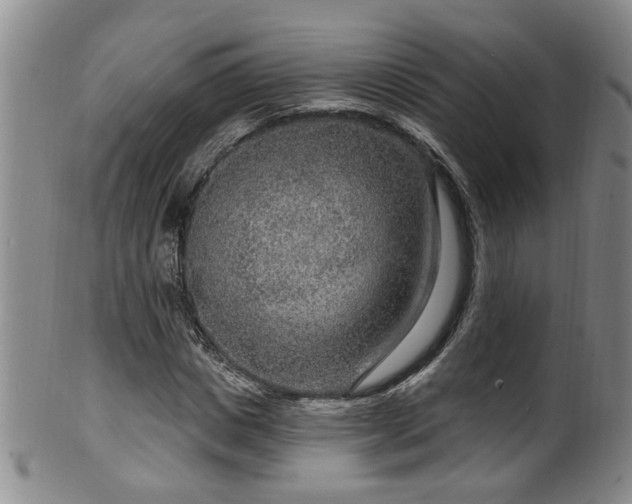 X0000100360825200806061136