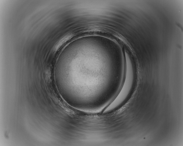 X0000100360826200806061136