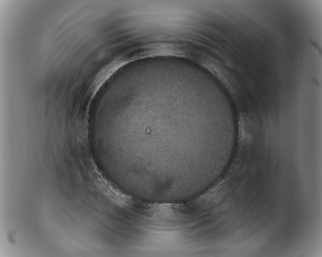 X0000100360828200806061136