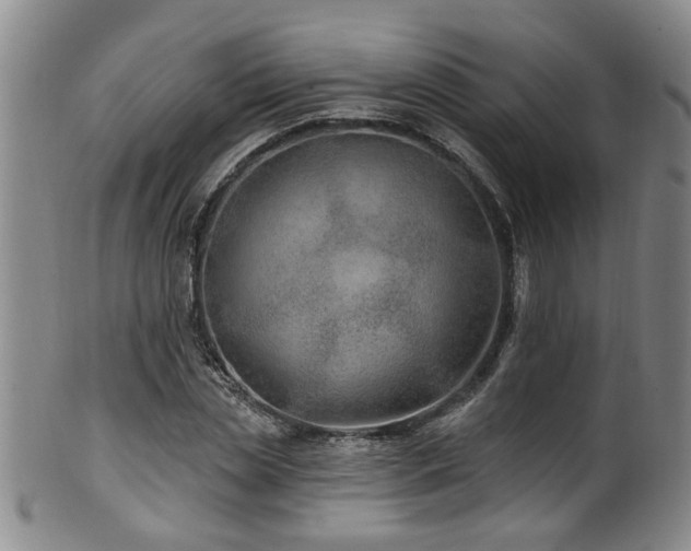 X0000100360829200806061136