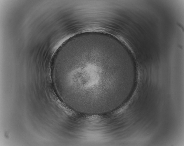 X0000100360830200806061136