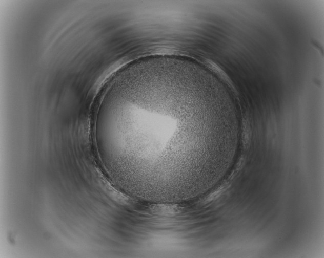 X0000100360831200806061136