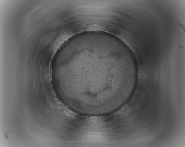 X0000100360832200806061136