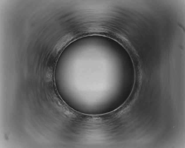 X0000100360833200806061136