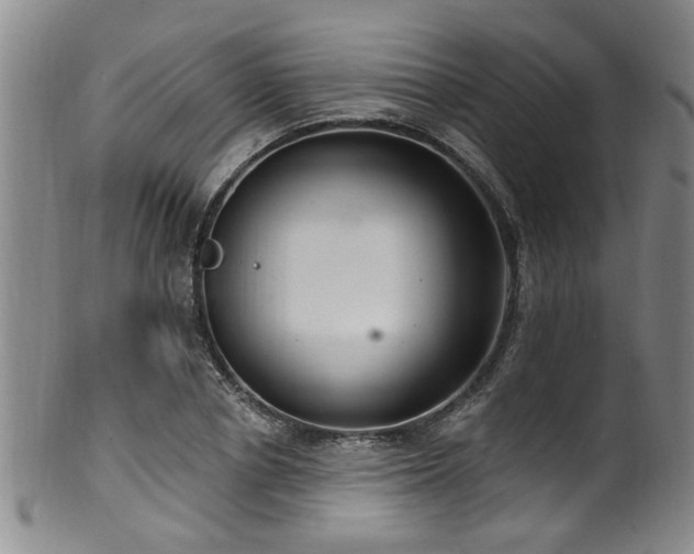 X0000100360834200806061136