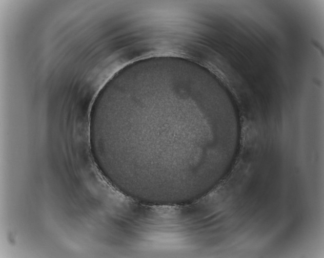 X0000100360836200806061136