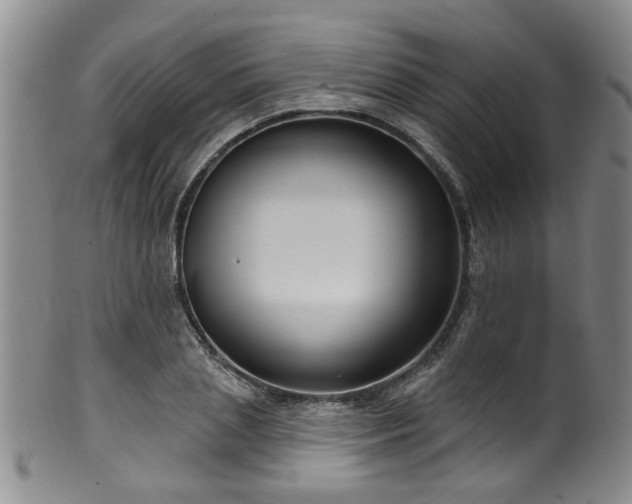 X0000100360837200806061136