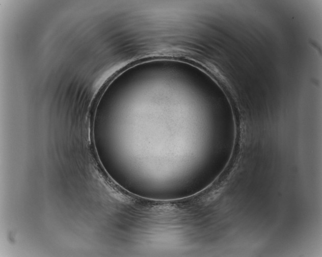 X0000100360838200806061136