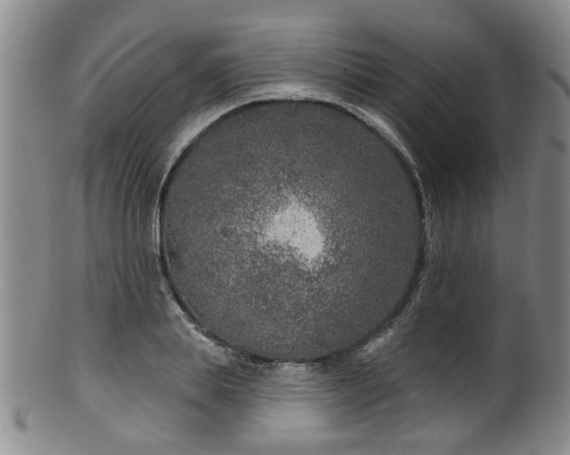 X0000100360839200806061136