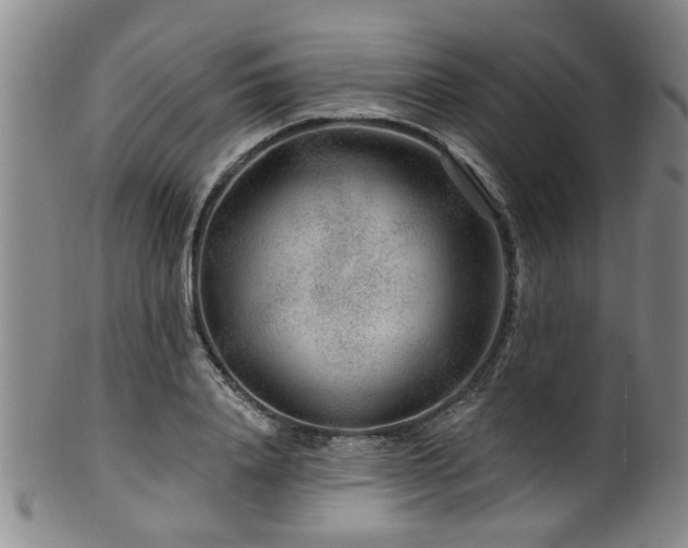 X0000100360840200806061136