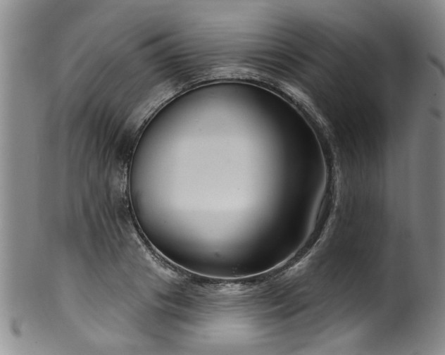 X0000100360841200806061136