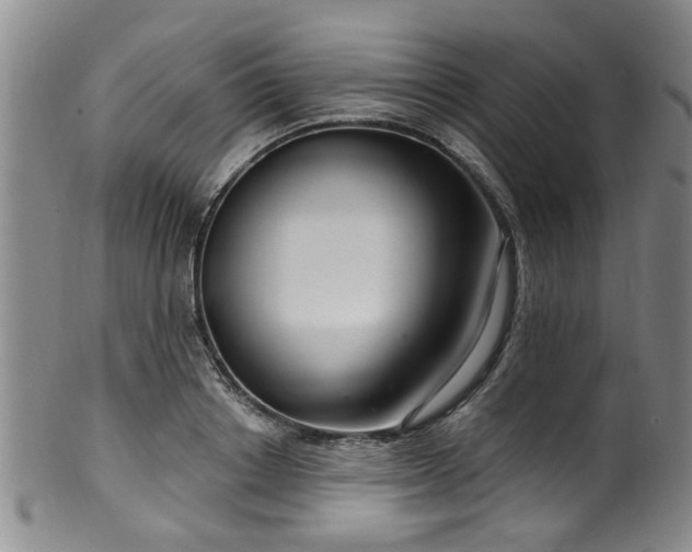 X0000100360842200806061136
