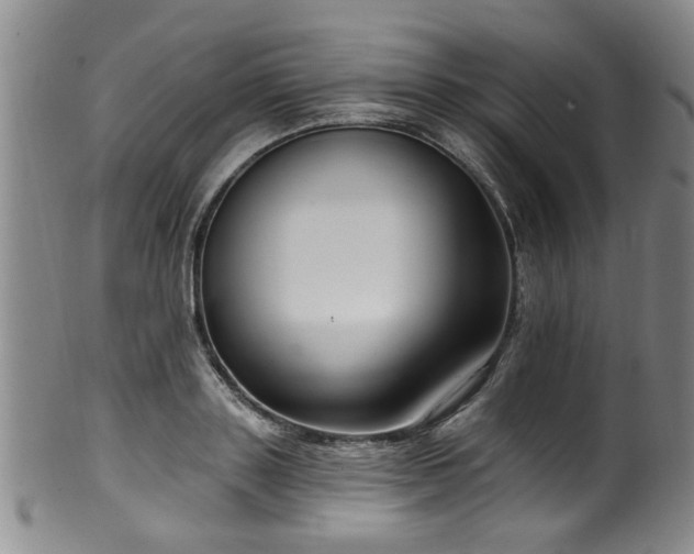 X0000100360843200806061136