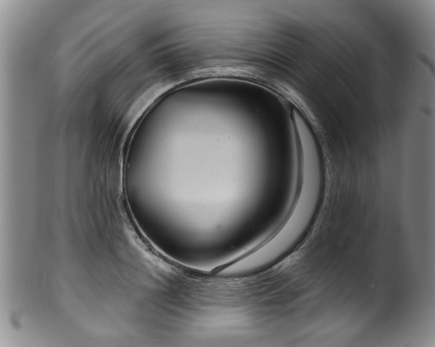 X0000100360844200806061136