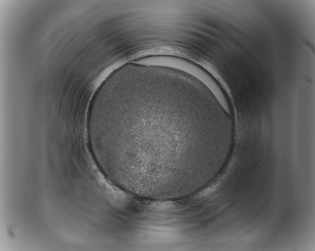 X0000100360845200806061136