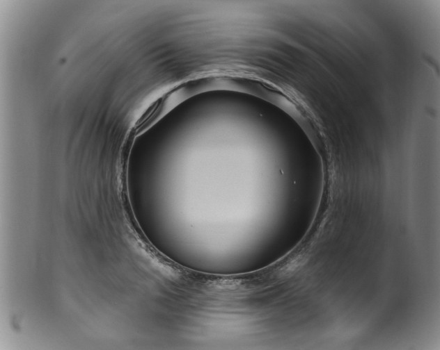 X0000100360846200806061136