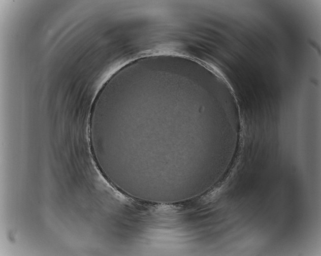 X0000100360847200806061136