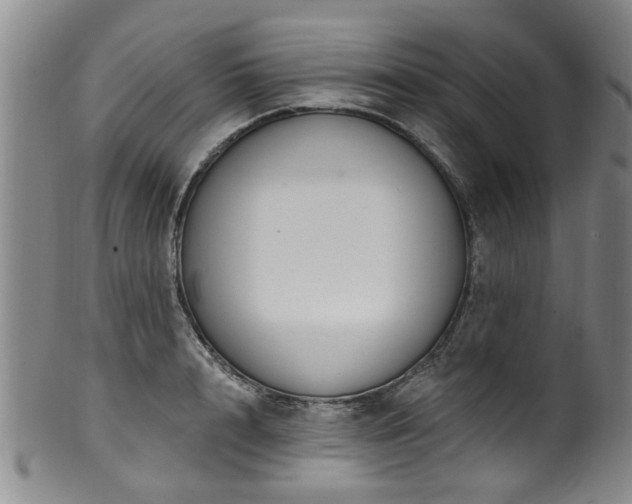 X0000100360848200806061136