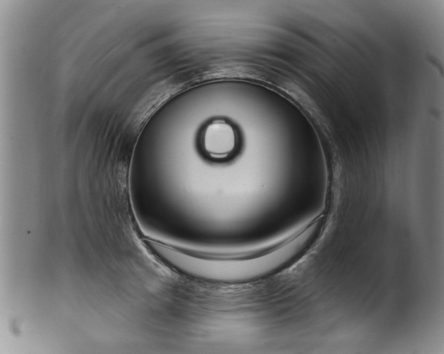 X0000100360849200806061136