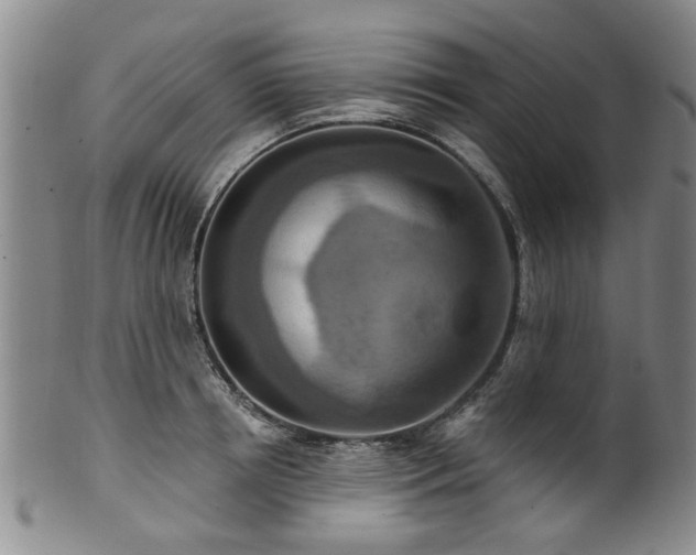 X0000100360850200806061136