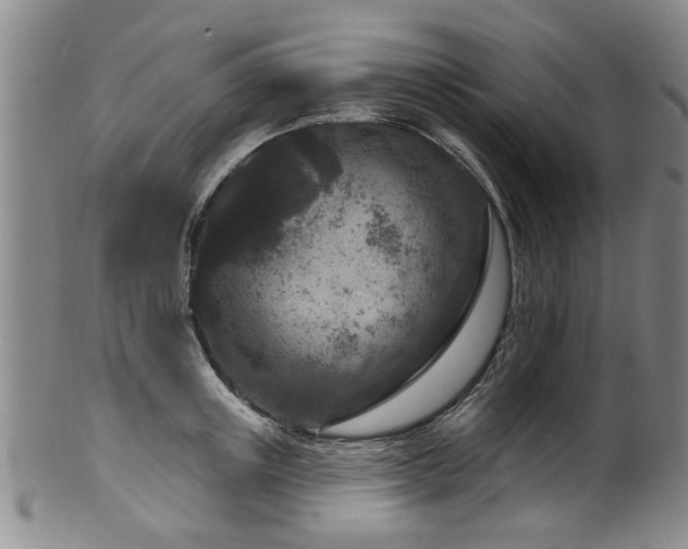 X0000100360851200806061136