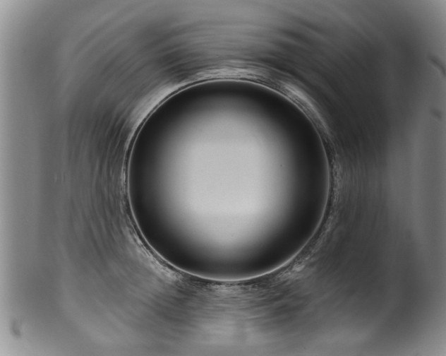 X0000100360852200806061136