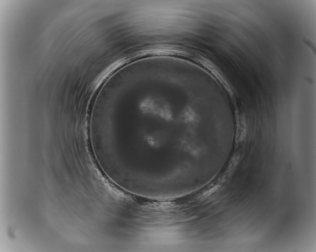 X0000100360853200806061136