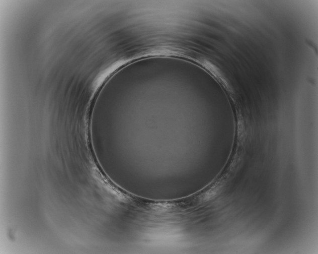 X0000100360854200806061136