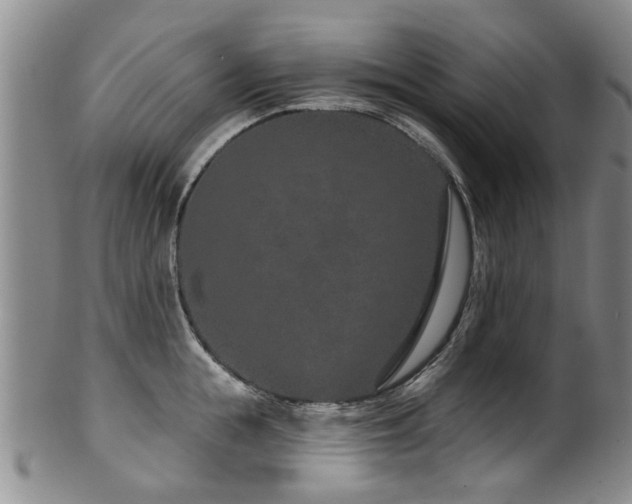 X0000100360855200806061136