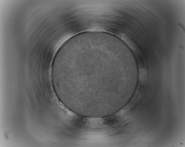 X0000100360856200806061136