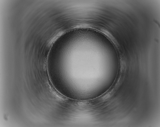 X0000100360857200806061136