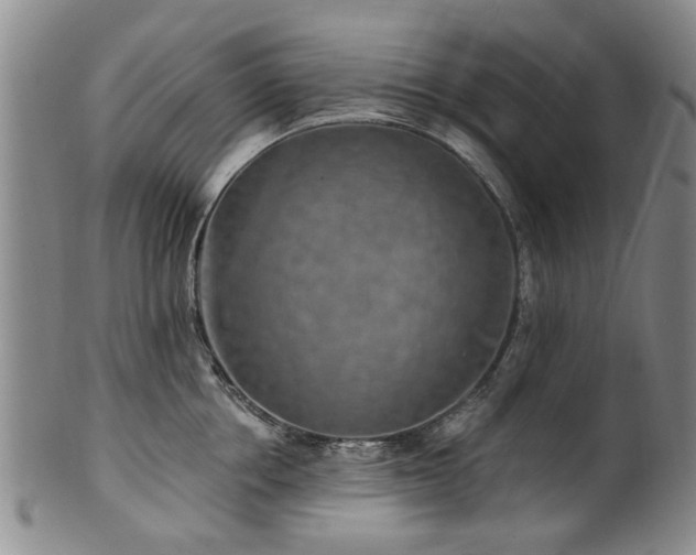 X0000100360858200806061136