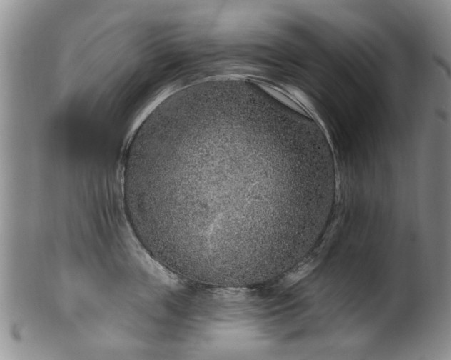 X0000100360859200806061136